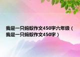 我是一只蚂蚁作文450字六年级（我是一只蚂蚁作文450字）