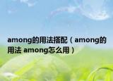 among的用法搭配（among的用法 among怎么用）
