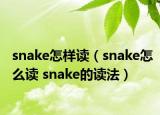 snake怎样读（snake怎么读 snake的读法）
