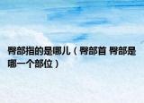 臀部指的是哪儿（臀部首 臀部是哪一个部位）