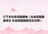 三下乡社会实践报告（社会实践报告范文 社会实践报告范文示例）