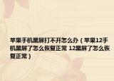 苹果手机黑屏打不开怎么办（苹果12手机黑屏了怎么恢复正常 12黑屏了怎么恢复正常）