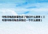 守株待兔的故事告诉了我们什么道理（三年级守株待兔告诉我们一个什么道理）