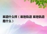 墓道什么样（墓地轨道 墓地轨道是什么）