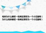 母亲为什么要把一粒豌豆苗称为一个小花园呢（为什么母亲要把一株豌豆苗称为一个小花园呢）