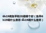 6h19调鱼竿和28调哪个好（鱼竿6h19调什么意思 6h19调什么意思）