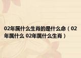 02年属什么生肖的是什么命（02年属什么 02年属什么生肖）