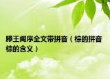 滕王阁序全文带拼音（棕的拼音 棕的含义）