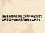 没有未来箱子在哪里（没有未来菜菜谱怎么获得 原神没有未来菜食谱怎么获得）
