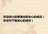 形容很小的事情也要关心的成语（形容对下属关心的成语）