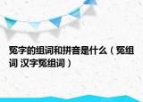 冤字的组词和拼音是什么（冤组词 汉字冤组词）