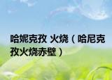 哈妮克孜 火烧（哈尼克孜火烧赤壁）