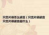 只言片语怎么读音（只言片语读音 只言片语读音是什么）