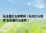 私生是什么意思呀（私生什么意思 私生是什么意思）