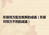 形容双方配合默契的成语（形容对双方不利的成语）