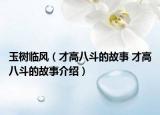 玉树临风（才高八斗的故事 才高八斗的故事介绍）