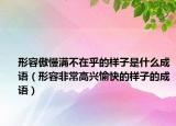 形容傲慢满不在乎的样子是什么成语（形容非常高兴愉快的样子的成语）