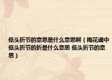 低头折节的意思是什么意思啊（梅花魂中低头折节的折是什么意思 低头折节的意思）