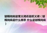 刨根问底是褒义词还是贬义词（刨根问底是什么意思 什么是刨根问底）
