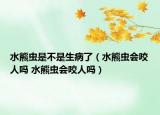 水熊虫是不是生病了（水熊虫会咬人吗 水熊虫会咬人吗）