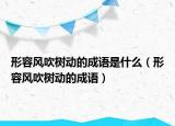 形容风吹树动的成语是什么（形容风吹树动的成语）