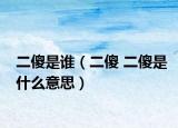 二傻是谁（二傻 二傻是什么意思）