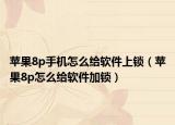 苹果8p手机怎么给软件上锁（苹果8p怎么给软件加锁）
