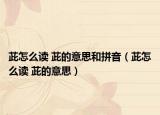 茈怎么读 茈的意思和拼音（茈怎么读 茈的意思）