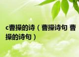 c曹操的诗（曹操诗句 曹操的诗句）