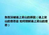 鲁智深被逼上梁山的原因（逼上梁山的意思是 如何理解逼上梁山的意思）