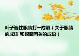 叶子遮住眼睛打一成语（关于眼睛的成语 和眼睛有关的成语）