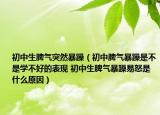 初中生脾气突然暴躁（初中脾气暴躁是不是学不好的表现 初中生脾气暴躁易怒是什么原因）