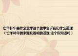 亡羊补牢是什么意思这个故事告诉我们什么道理（亡羊补牢的来源及说明的道理 这个你知道吗）