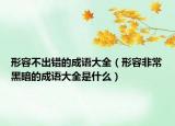 形容不出错的成语大全（形容非常黑暗的成语大全是什么）