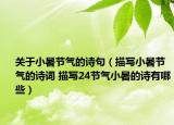 关于小暑节气的诗句（描写小暑节气的诗词 描写24节气小暑的诗有哪些）