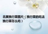 北美独行菜图片（独行菜的吃法 独行菜怎么吃）