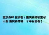 重庆森林 在哪看（重庆森林哪里可以看 重庆森林哪一个平台能看）