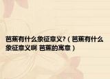 芭蕉有什么象征意义?（芭蕉有什么象征意义啊 芭蕉的寓意）