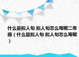 什么是拟人句 拟人句怎么写呢二年级（什么是拟人句 拟人句怎么写呢）