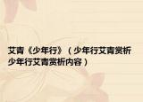 艾青《少年行》（少年行艾青赏析 少年行艾青赏析内容）