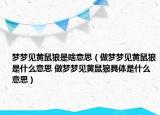 梦梦见黄鼠狼是啥意思（做梦梦见黄鼠狼是什么意思 做梦梦见黄鼠狼具体是什么意思）