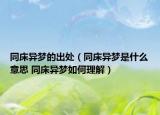 同床异梦的出处（同床异梦是什么意思 同床异梦如何理解）