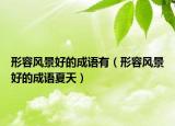 形容风景好的成语有（形容风景好的成语夏天）