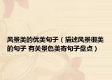 风景美的优美句子（描述风景很美的句子 有关景色美寄句子盘点）