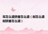 鼍怎么读拼音怎么读（刦怎么读 刦拼音怎么读）