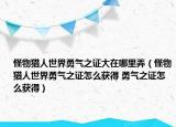 怪物猎人世界勇气之证大在哪里弄（怪物猎人世界勇气之证怎么获得 勇气之证怎么获得）