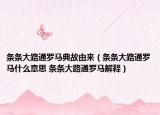 条条大路通罗马典故由来（条条大路通罗马什么意思 条条大路通罗马解释）