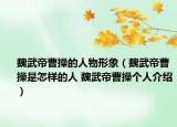魏武帝曹操的人物形象（魏武帝曹操是怎样的人 魏武帝曹操个人介绍）