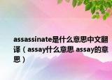 assassinate是什么意思中文翻译（assay什么意思 assay的意思）
