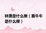 林萧是什么梗（喜牛牛是什么梗）